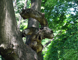 Sculpture / ***