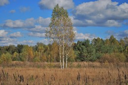 Autumn colors / ***