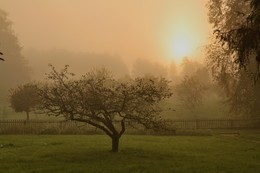 misty dawn / ***
