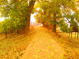 Autumn trail / ***