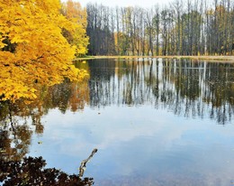 Fall ... / ***