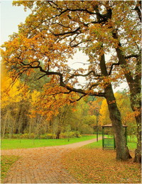 In autumn park / ***