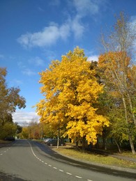 colors of autumn / ***