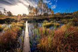 On the other side / ***