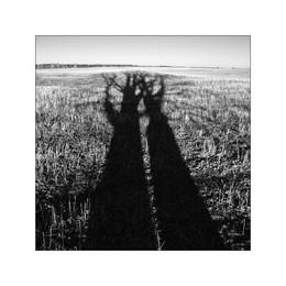 Deja vu / ***