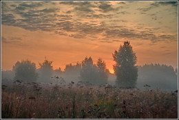 Lilac evening / ***