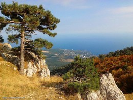 Autumn Crimea / ***