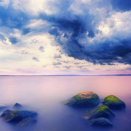 Before the storm / ***