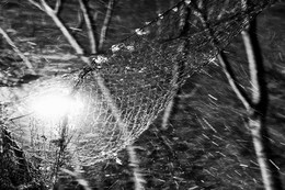 The wind of change / ***