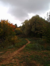 pathway in autumn / ***
