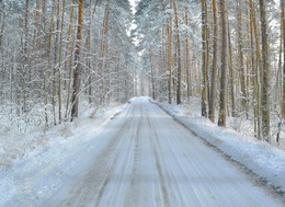 Road in winter / ***
