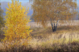 gentle autumn / Nikon D7000