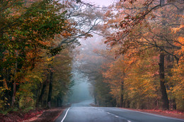 Autumn road / ***