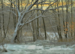 Winter evening in the forest / ***