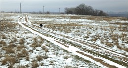 Country road / ***