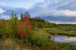 colors of autumn / ***