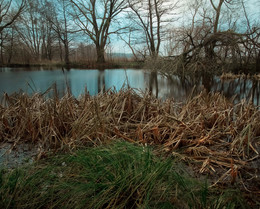 On the lake / ***