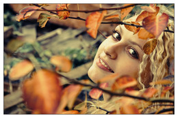 Autumn / ***