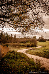 Autumn road / ***