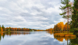 Autumn Gatchina / ***