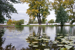Autumn / ***