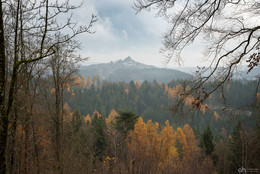 Castle ruin Flossenbürg in late autumn / Burgruine Flossenbürg im Spätherbst. Die Burgruine befindet sich im Oberpfälzerwald/Bayern in der Nähe von der Tschechischen Grenze.