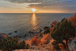 Sunset / ***