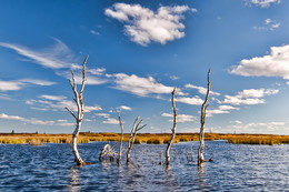 Dancing on the water / ***