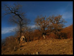 The wind of change / ***