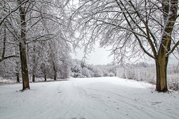 December / ***