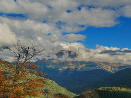In the mountains / ***