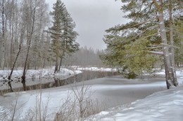 winters in the forest / ***