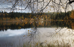 Autumn rains / ***