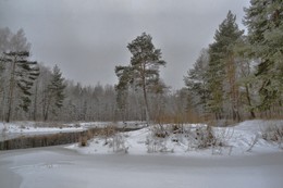 winters in the forest / ***