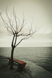 silence / ***