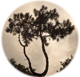 square mood / ***
