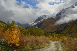 Autumn in the mountains / ***