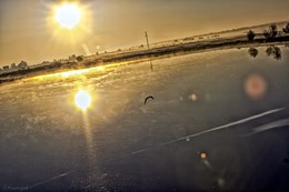 Orange morning. / ***