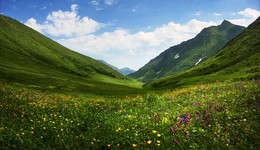 Summer in the mountains / ***