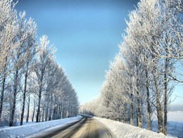 Winter road / ***