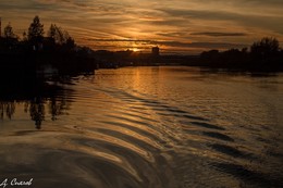 Evening on the river / ***