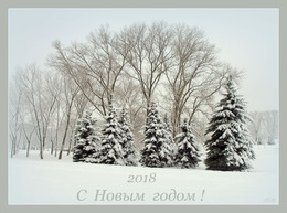 Happy New Year! / ***