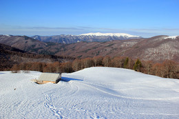 kolybka / ***