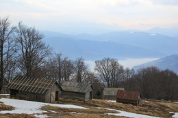 Carpathians / ***