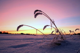Before dawn. / ***