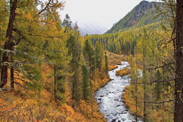 Autumn in the mountains / ***