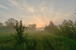 Foggy morning. / ***