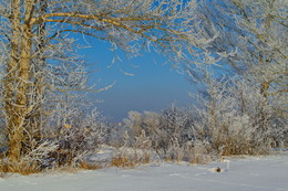 winter scenery / ***
