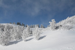 After snowfall / ***