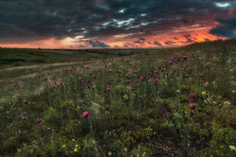 At the end of the day / ***